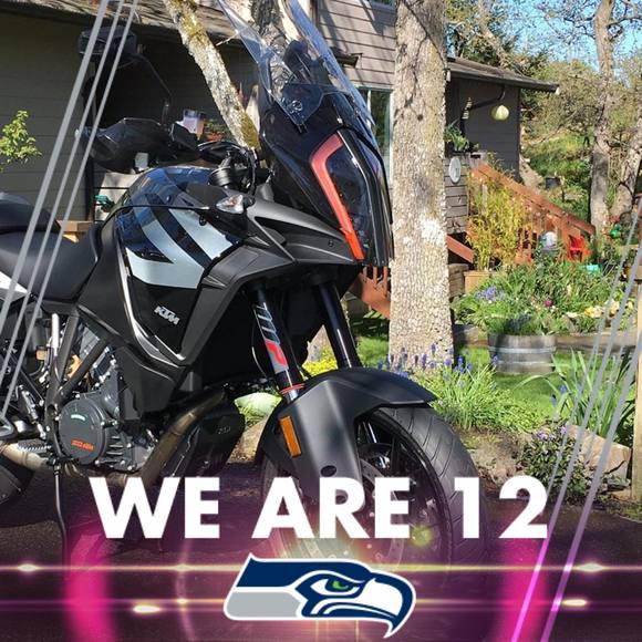 Meet your Posher, Phillip - Picture 1 of 1